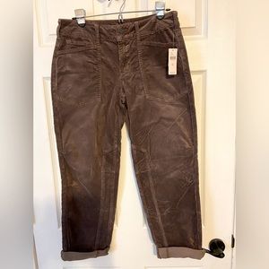 Anthropologie Pilcro The Wanderer Corduroy Cargo Pants, NWT, Size 28, Dark Brown